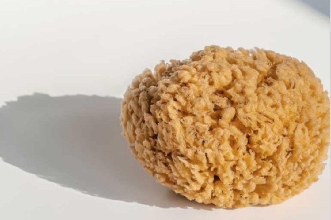 100% all-natural and renewable honeycomb Silk Sea Sponges, harvested from the Mediterranean Seas