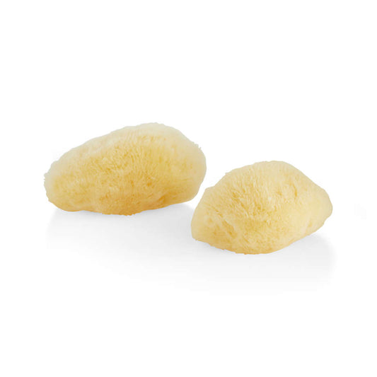 Natural Silk Sea Sponge
