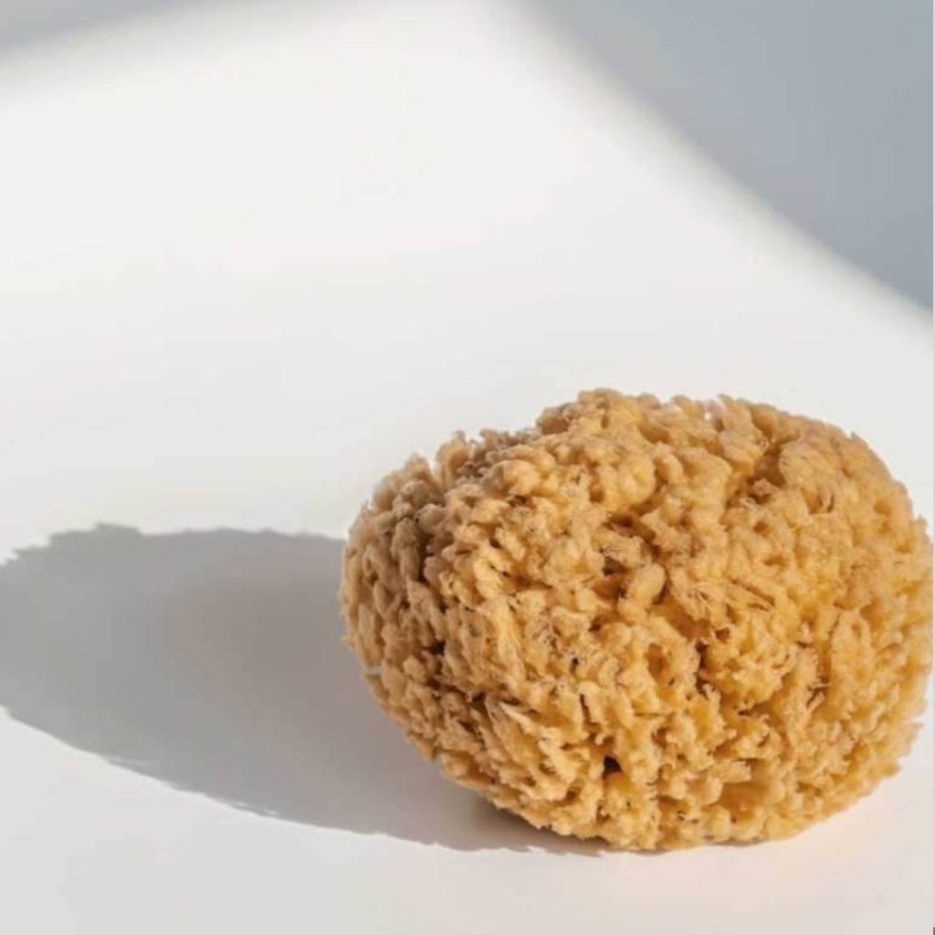 Natural Silk Sea Sponge