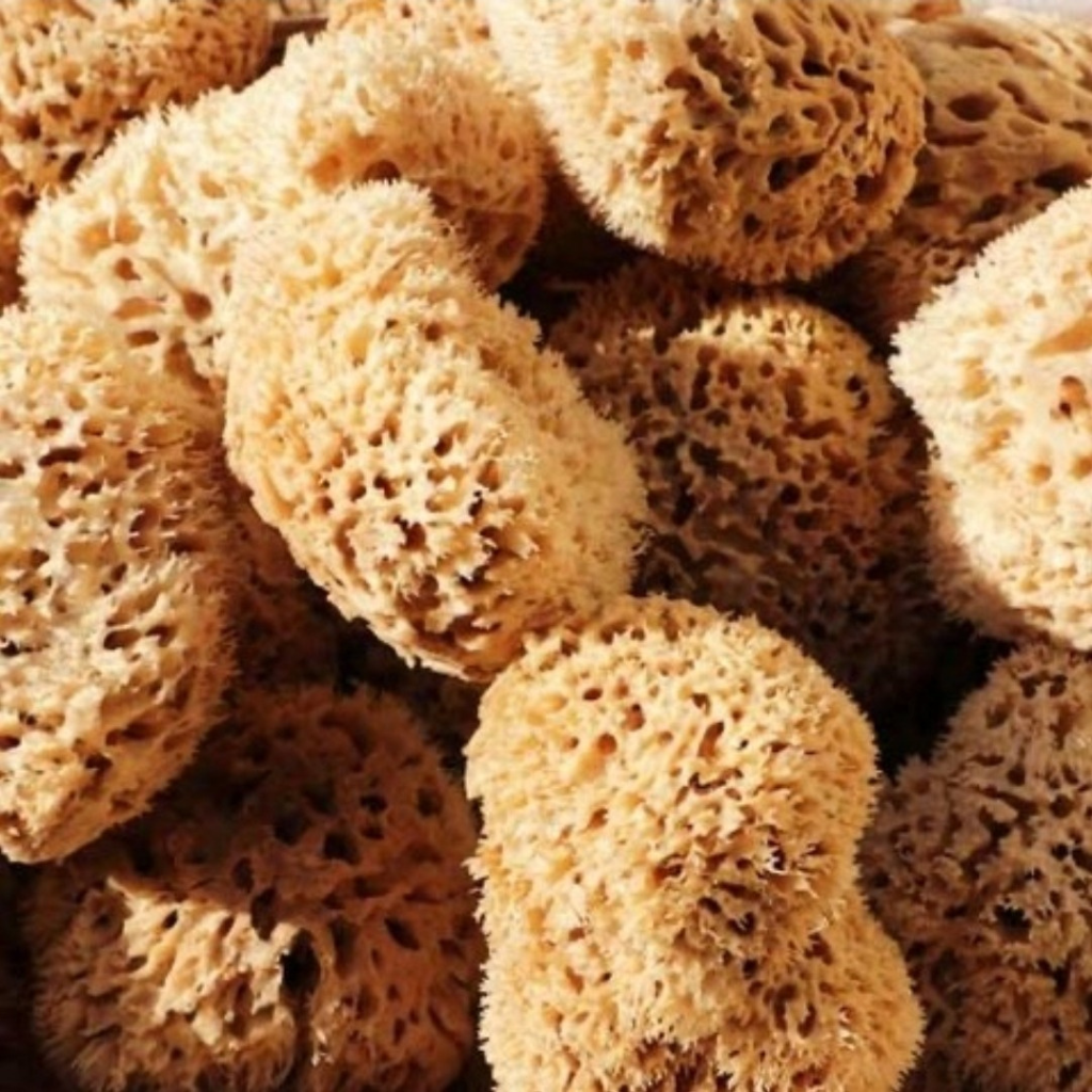 Natural Silk Sea Sponge